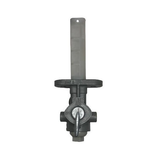 481 Suzuki, chape entraxe 34 mm