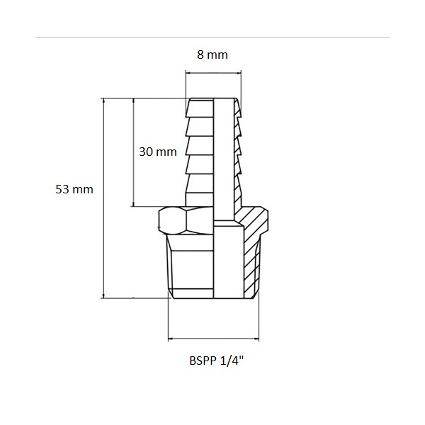 607 Racor recto BSP 1/4", esquema
