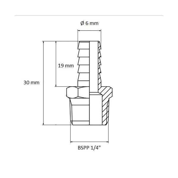 636 Raccord cannelé BSPP 1/8" sortie Ø 6 mm, schéma