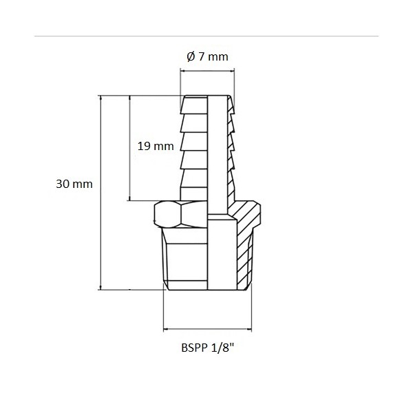 637 Raccord cannelé BSPP 1/8" sortie Ø 7 mm, schéma