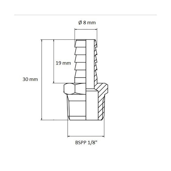 638 Racor acanalado BSPP 1/8" salida Ø 8 mm, esquema