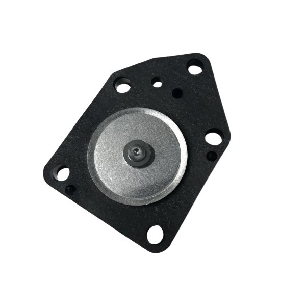 737 Kawasaki GPX, ZZR, membrana de grifo, vista 2