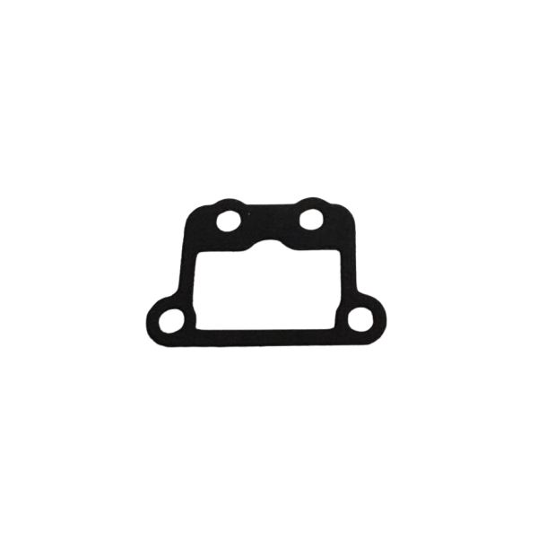 861 Yamaha gasket drain cover